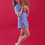 The Dorothea Set